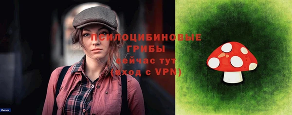соль ск Карпинск