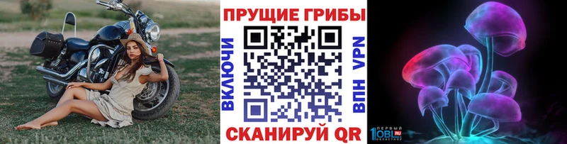 Купить где  Северская  Галлюциногенные грибы прущие грибы 